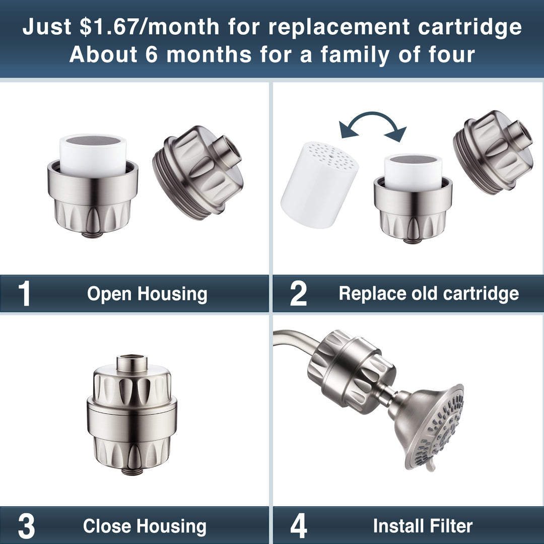 shower filter #color_brushed-nickel