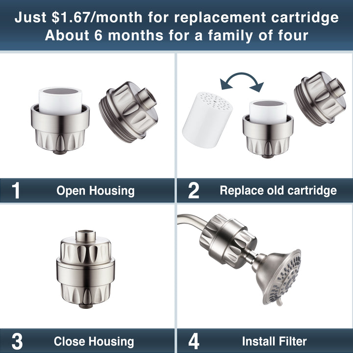 shower filter #color_brushed-nickel